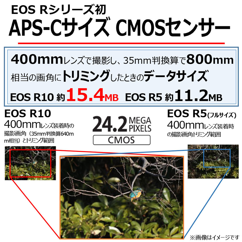 EOS R10・ボディー：通販 | ミラーレスカメラ - キヤノンオンライン