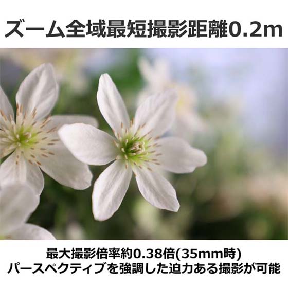 RFレンズ RF14-35mm F4 L IS USM：通販｜キヤノンオンラインショップ