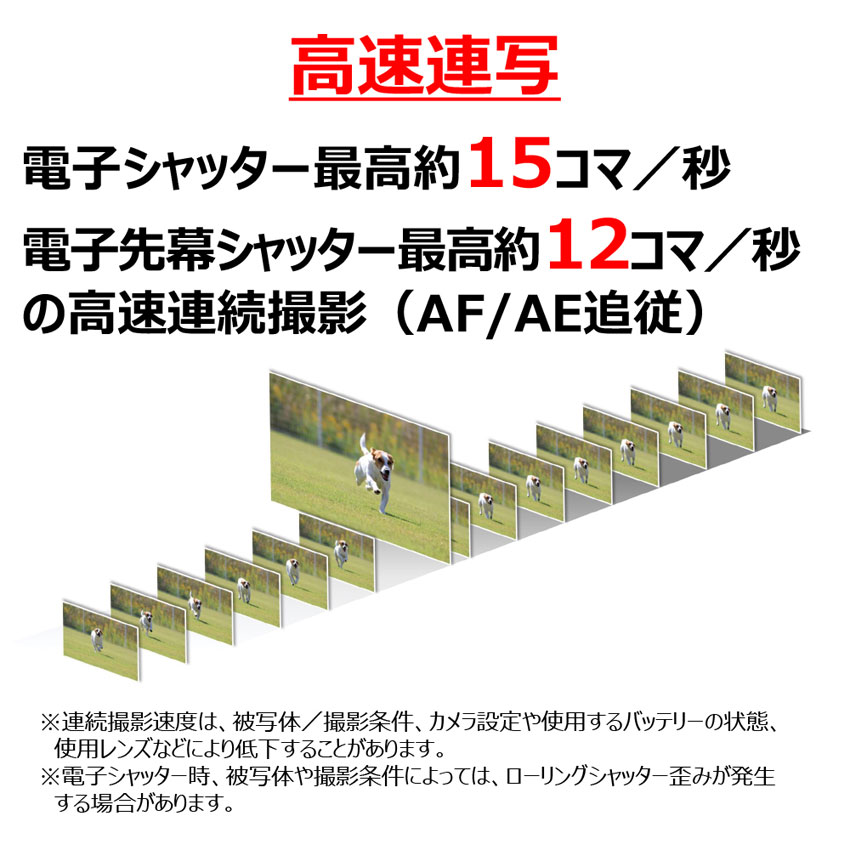 EOS R50（ブラック）・RF-S18-45 IS STM レンズキット 購入 | ミラー