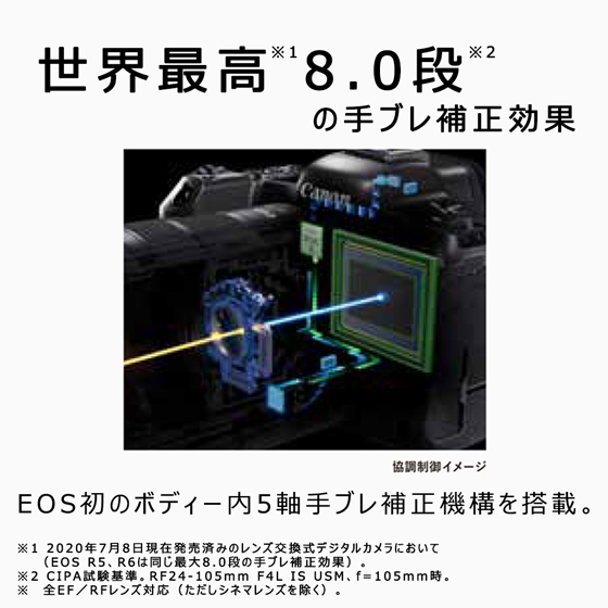 EOS R6・RF24-105 IS STM レンズキット：販売ページ｜キヤノン 