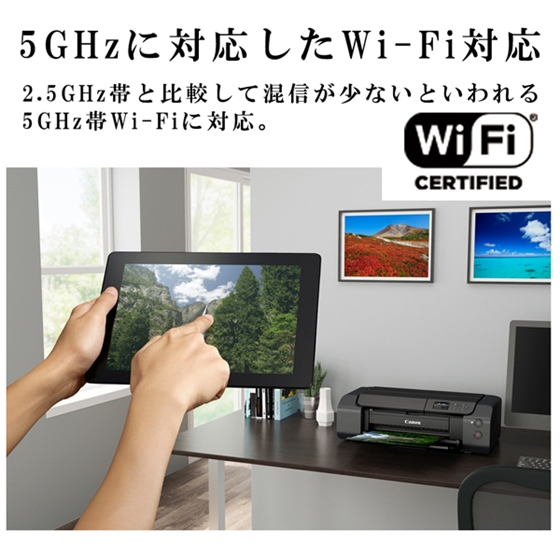 ブランド 新品 Canon PIXUS PRO-S1 プリンタ 未使用 | www.chezmoiny.com