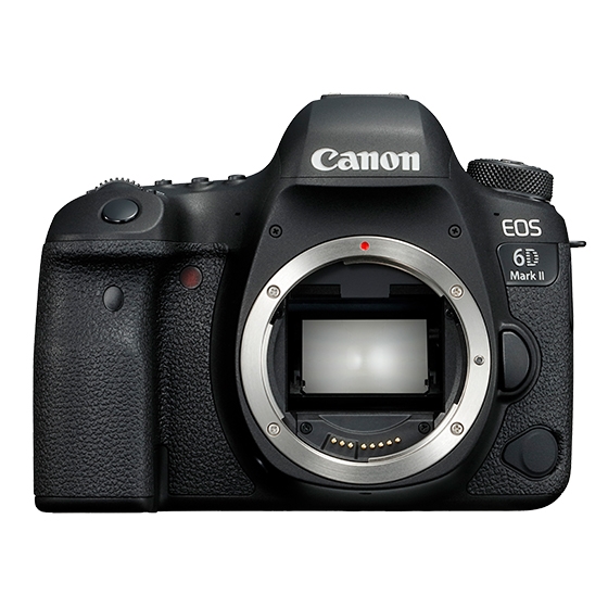 Canon 6D mark2 ボディ（バッテリー2つ付属） - デジタル一眼