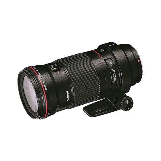 Canon EF180mm F3.5L マクロ USM - daterightstuff.com