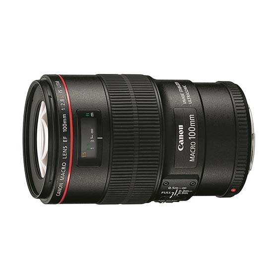 Canon macro LENS EF 100ミリ 2.8L IS USM - レンズ(単焦点)