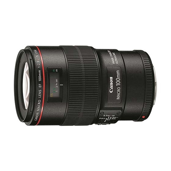 EF100mm F2.8L マクロ IS USM □納期約1～2週間:交換レンズ 通販｜キヤノンオンラインショップ