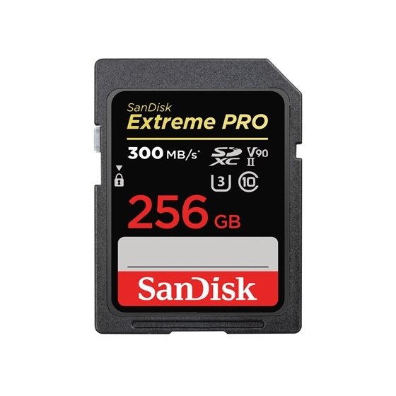 サンディスク SDカード 256GB エクストリーム プロ SDXC UHS-II 