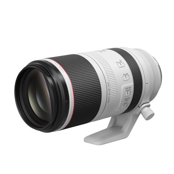 キヤノン ミラーレスカメラ EOS R8 購入ページ 今なら30,000円分