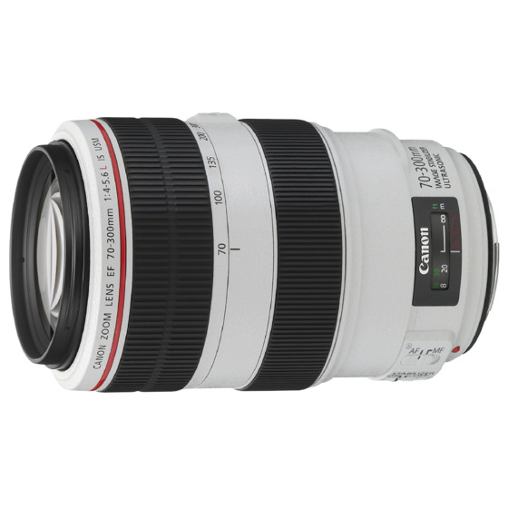 CANON EF 70-300mm F4-5.6L IS USM フード付 - レンズ(ズーム)