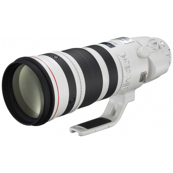 Canon 【美品】EF200-400mm F4L IS USM エクステンダー
