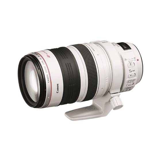 Canon キヤノン EF28-300mm F3.5-5.6L IS USMレンズ(ズーム) - レンズ