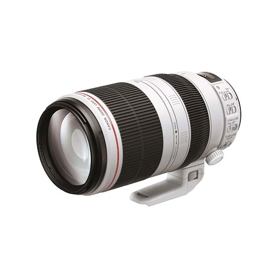 Canon EF100-400mm F4.5-5.6L IS II USM - レンズ(ズーム)