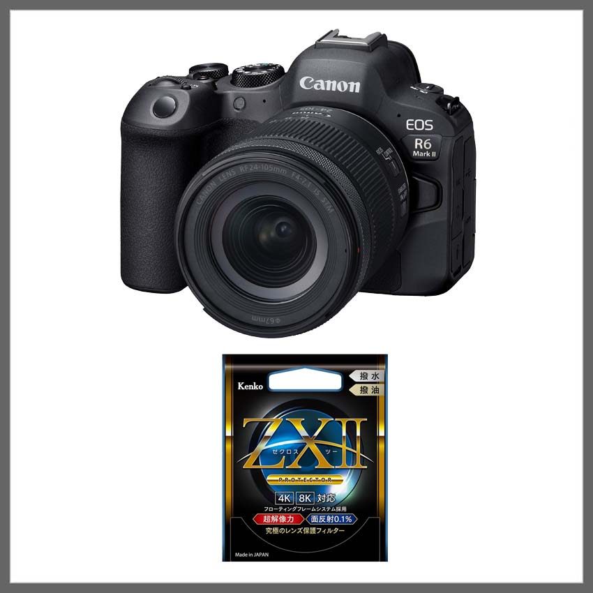 キヤノン ミラーレスカメラ EOS R6 Mark II 購入ページ 今なら30,000円