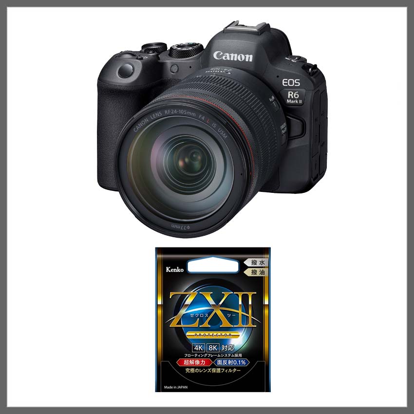 キヤノン ミラーレスカメラ EOS R6 Mark II 購入ページ 今なら30,000円