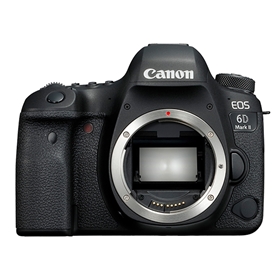 EOS 6D Mark IIi{fB[̂݁j