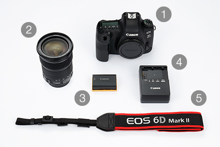 販売終了】EOS 6D Mark II・EF24-105 IS STM レンズキット:一眼レフ